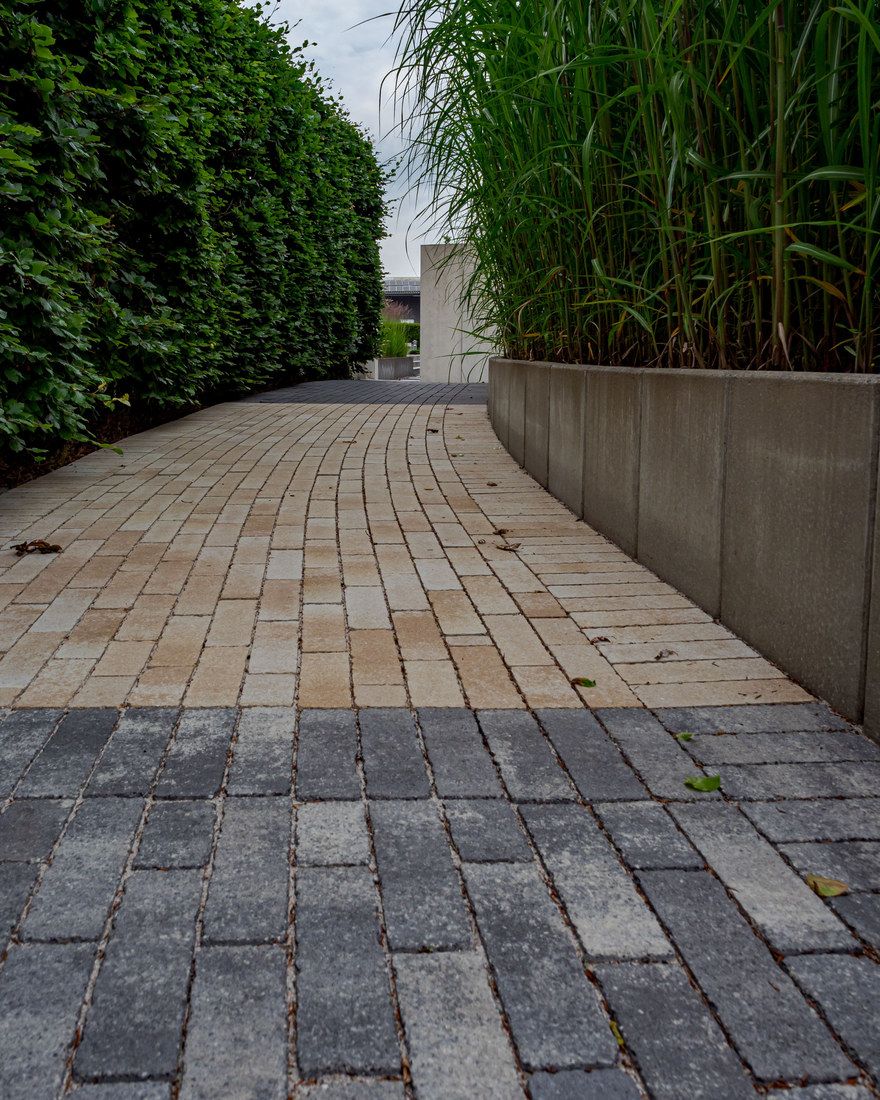 Gepflasterter Weg zwischen einer geschnittenen Hecke und hohen Gräsern in einem Betonhochbeet